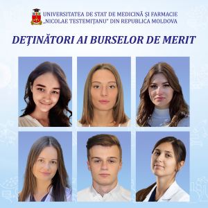 burse de merit